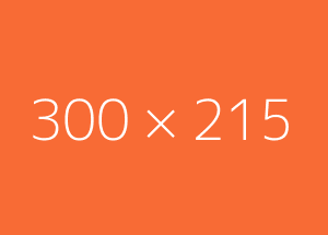  Integer sed ante